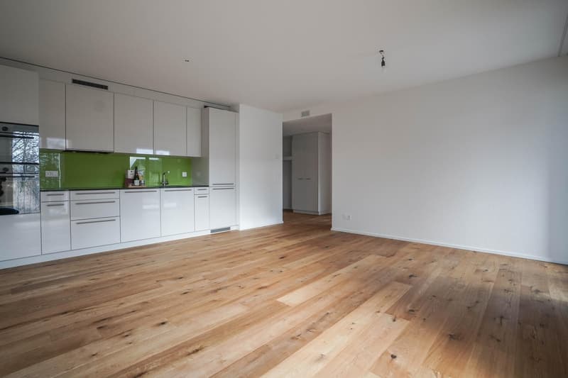 Helle 2.5-Zimmer-Attikawohnung mit verglastem Balkon und Bergsicht in Dietlikon (1)