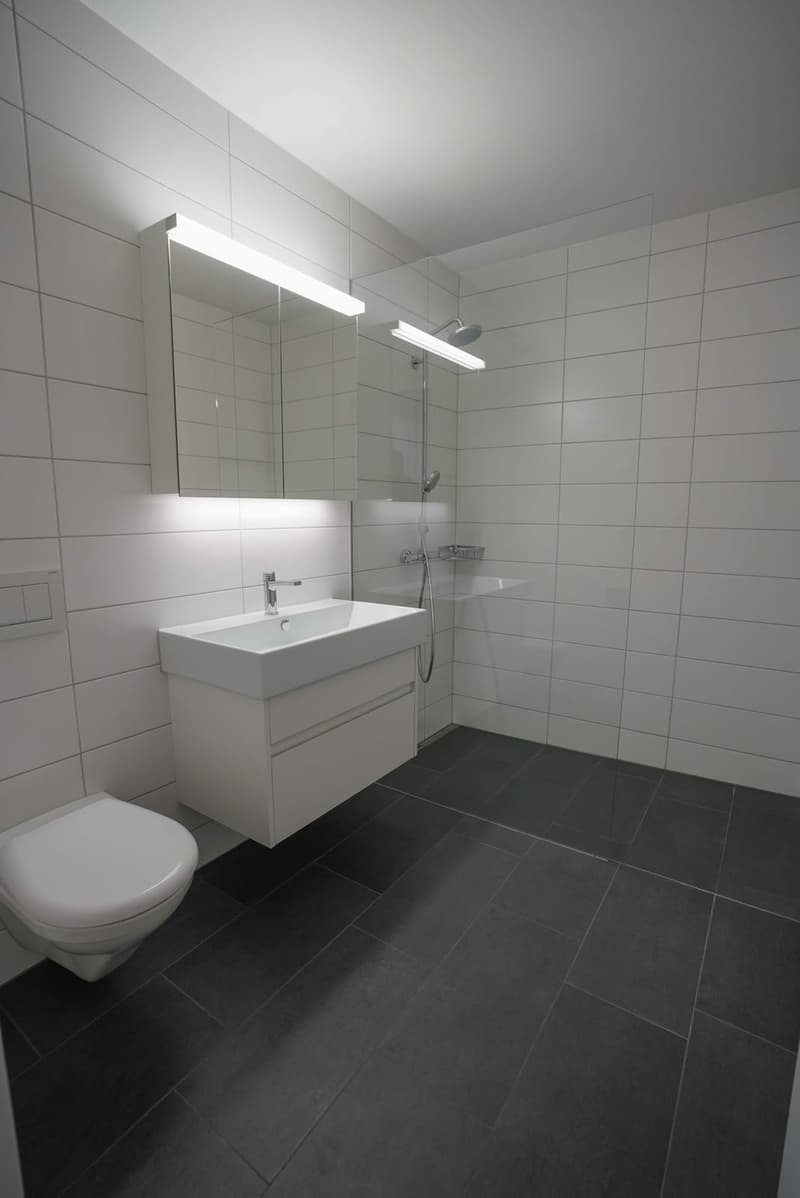 Helle 2.5-Zimmer-Attikawohnung mit verglastem Balkon und Bergsicht in Dietlikon (9)