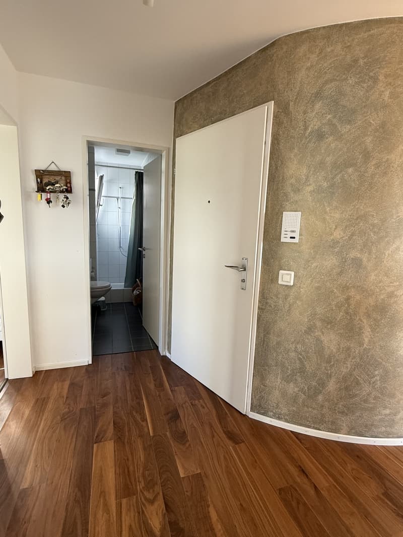 3,5 pièces à louer à Meilen (11)