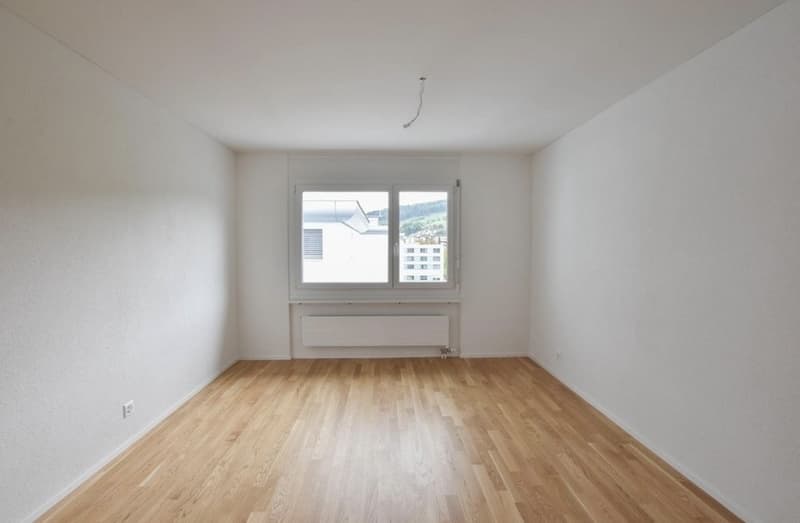 Ricerca di un successore per un appartamento familiare moderno in un quartiere residenziale tranquillo (3)