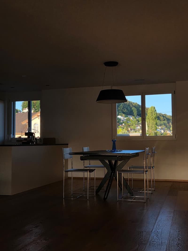 3.5-room apartment with 115 m2 directly at Hirschthal train station (11)