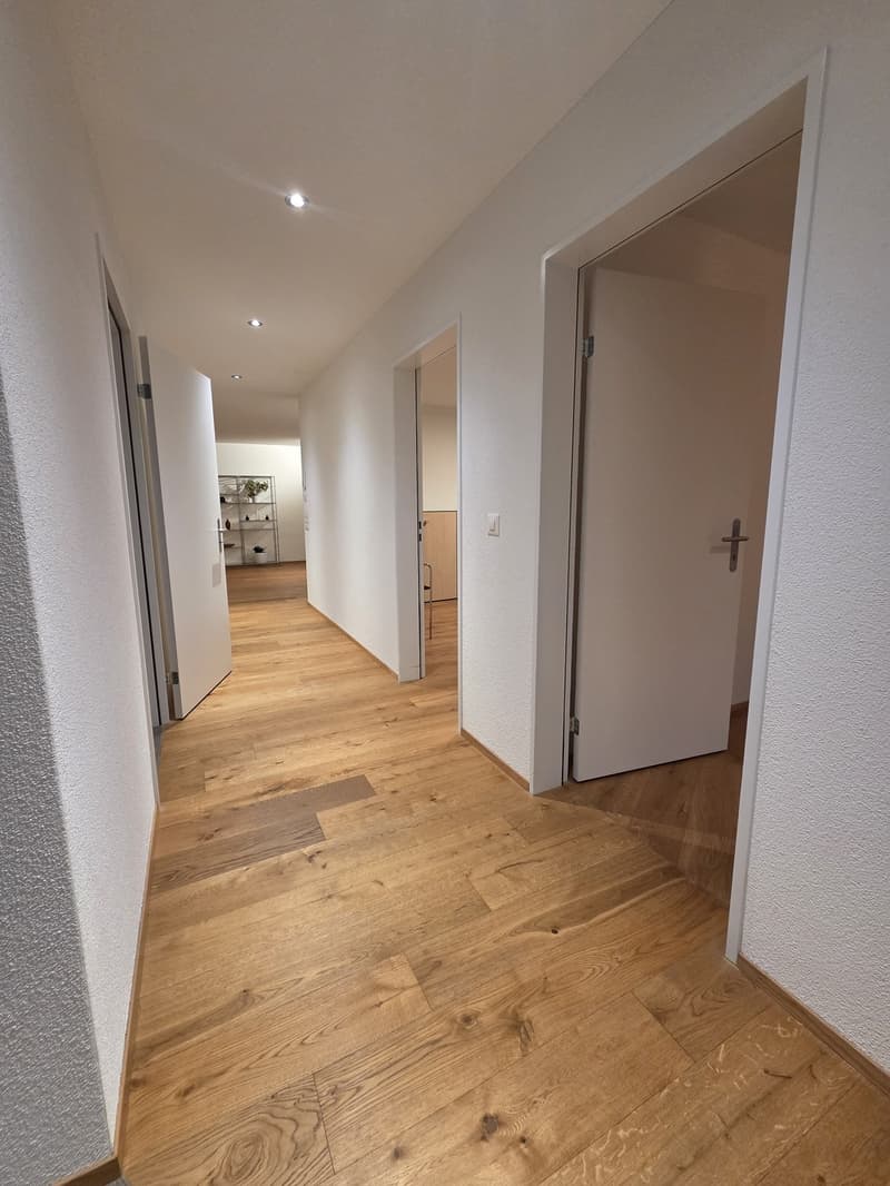 3.5-room apartment with 115 m2 directly at Hirschthal train station (9)