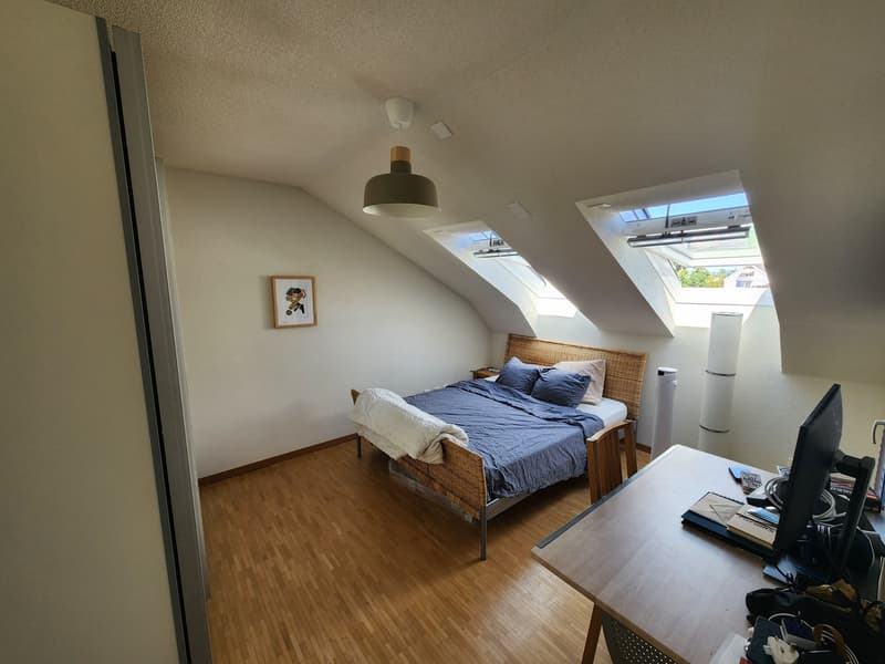 Ruhige, geräumige 3.5-Zimmer-Dachwohnung mit Balkon (10)