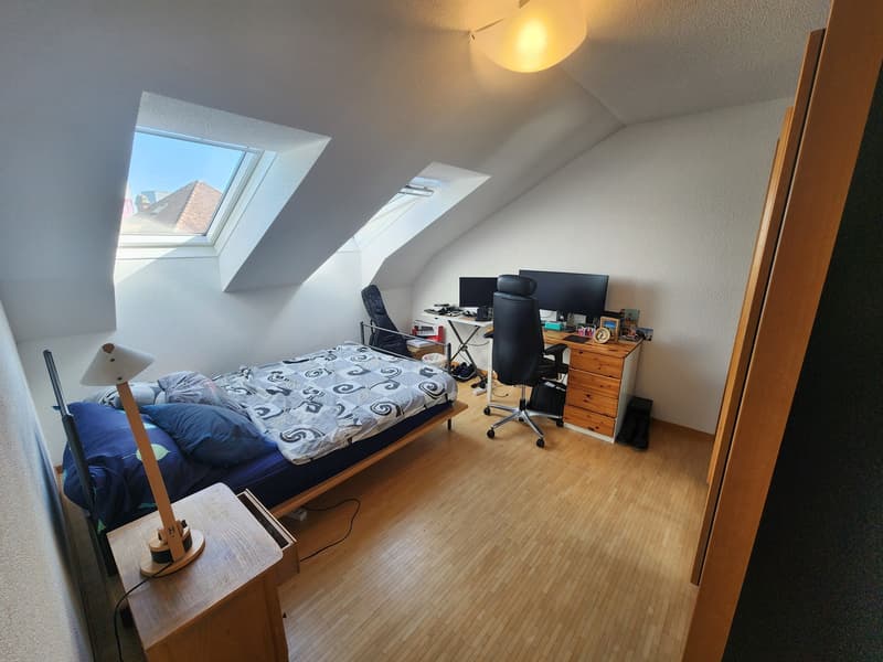 Ruhige, geräumige 3.5-Zimmer-Dachwohnung mit Balkon (8)
