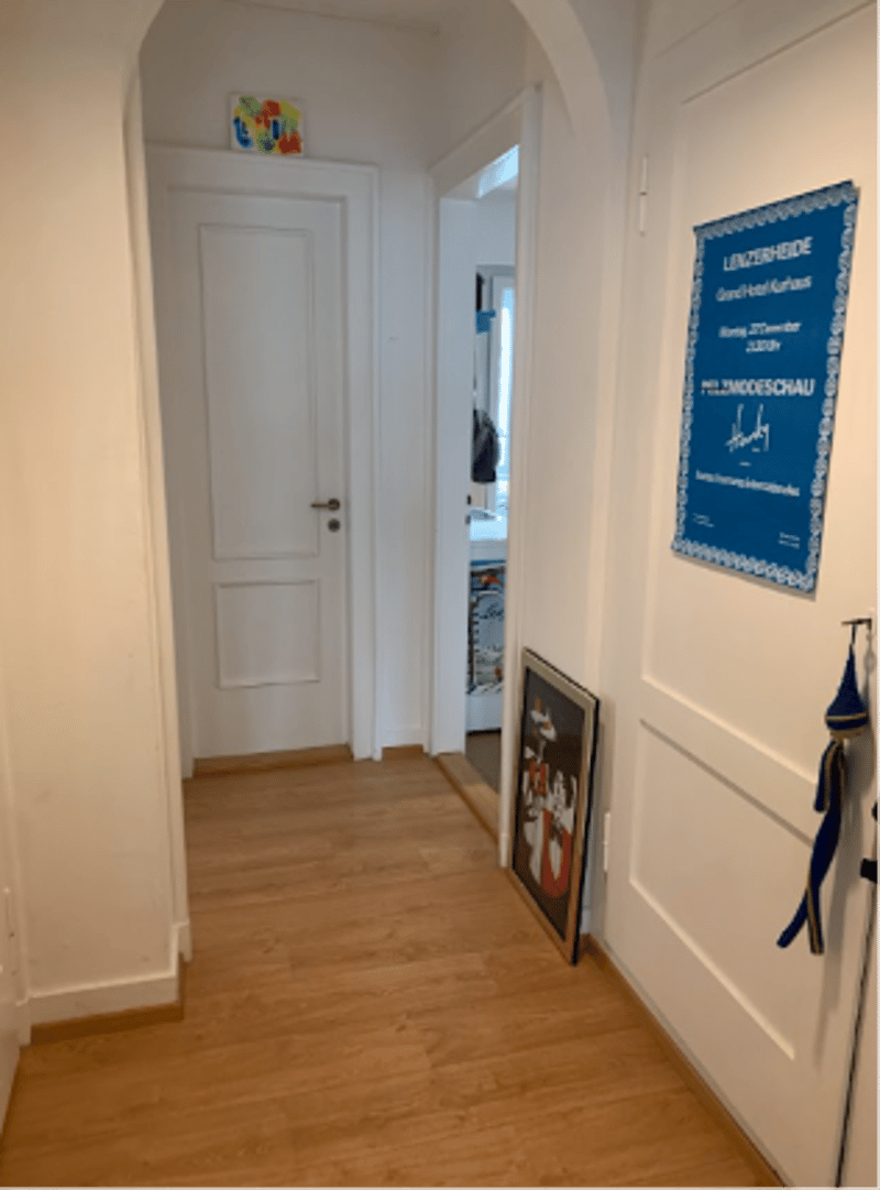 Temporaire (septembre à décembre) : Appartement meublé dans un immeuble ancien (3)