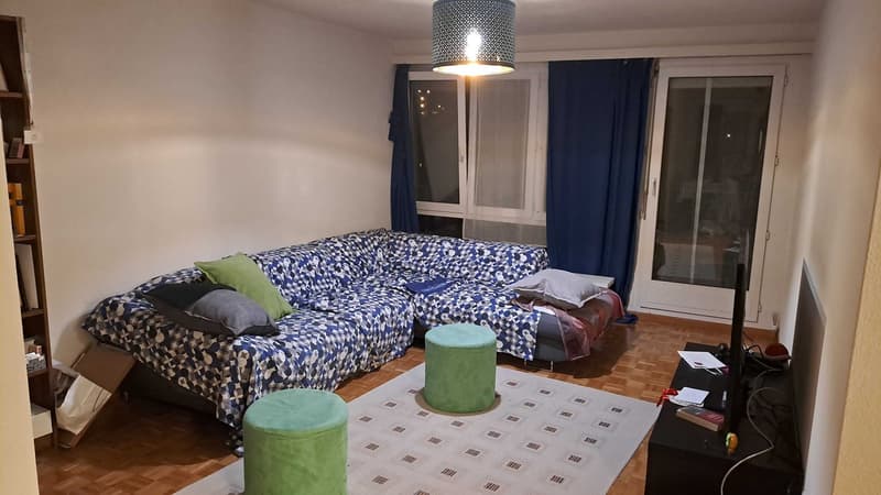 Living room (1)