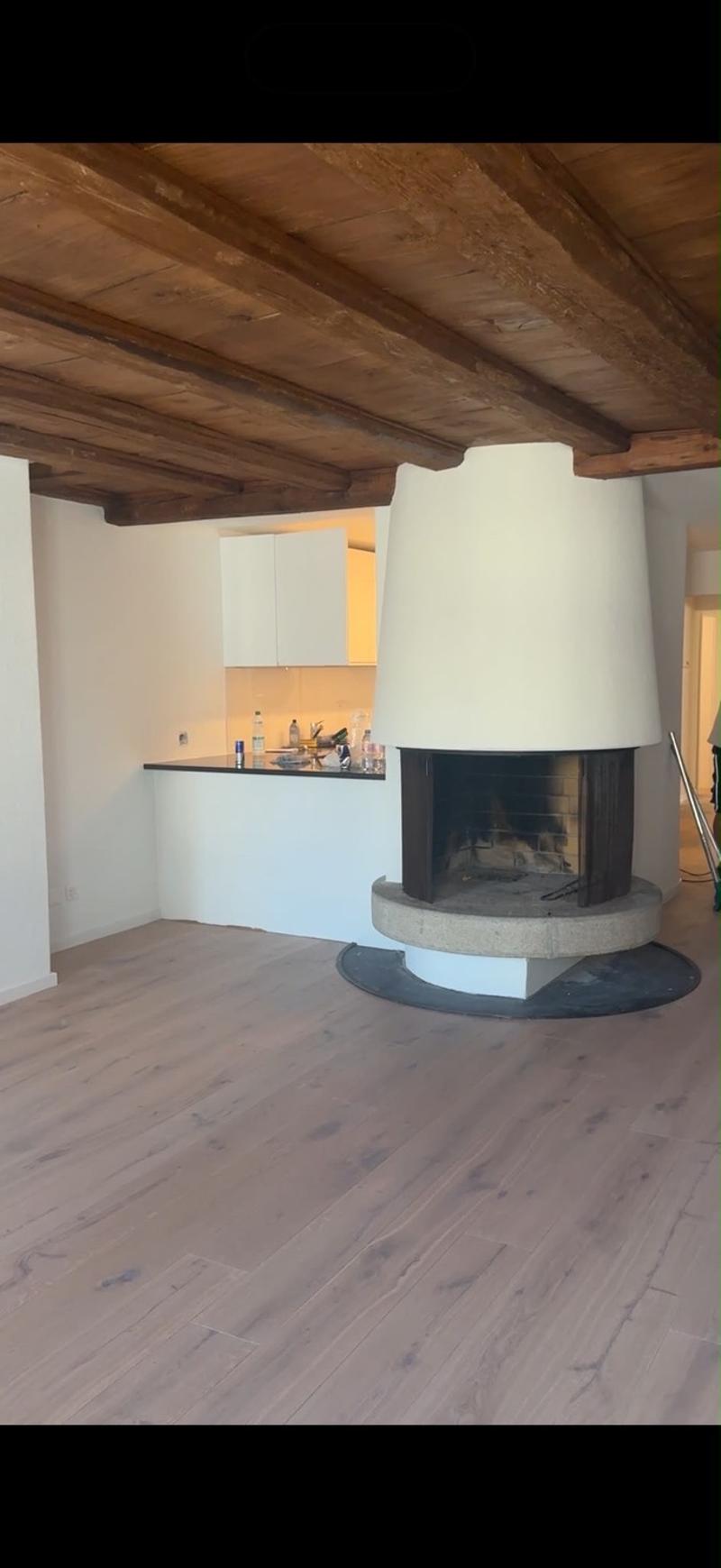 Zurich Center | High-End Room with Fireplace (5 Mins from HB) (3)