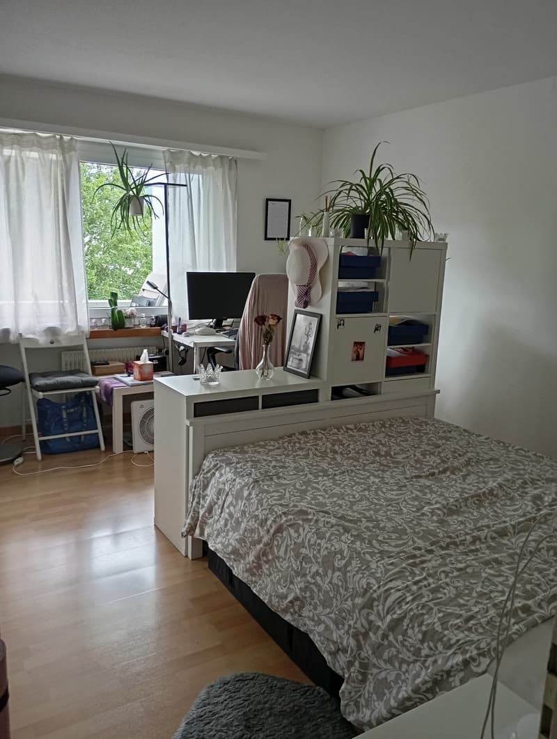 Recherche de sous-locataire pour un appartement de 3,5 pièces à Uznach à partir du 17.08.2026 ou selon accord (5)
