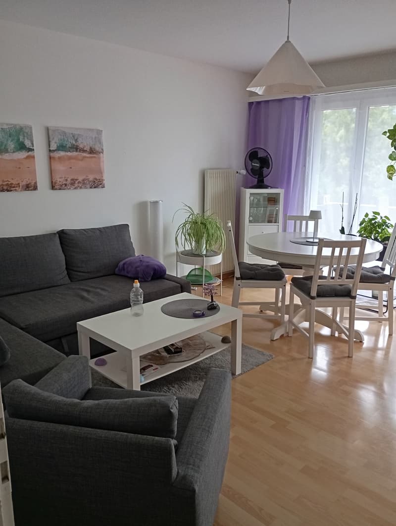 Recherche de sous-locataire pour un appartement de 3,5 pièces à Uznach à partir du 17.08.2026 ou selon accord (7)