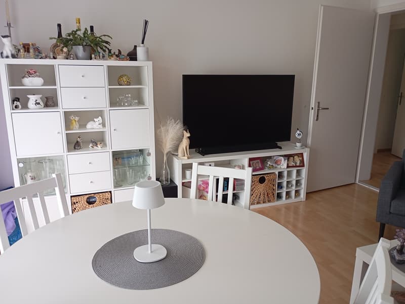 Recherche de sous-locataire pour un appartement de 3,5 pièces à Uznach à partir du 17.08.2026 ou selon accord (8)