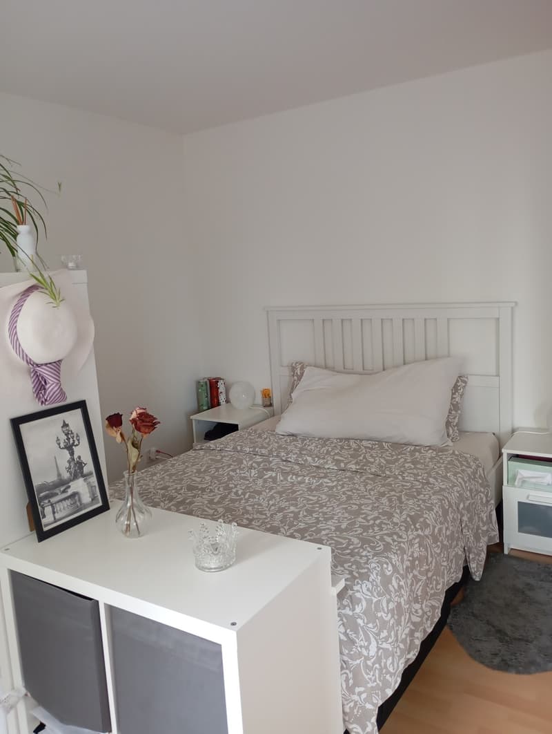 Recherche de sous-locataire pour un appartement de 3,5 pièces à Uznach à partir du 17.08.2026 ou selon accord (6)
