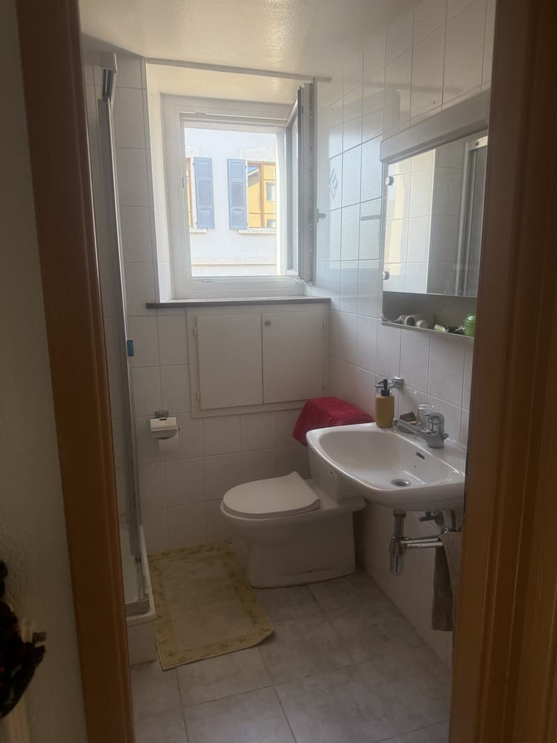 Beautiful 2.5-room apartment (3)