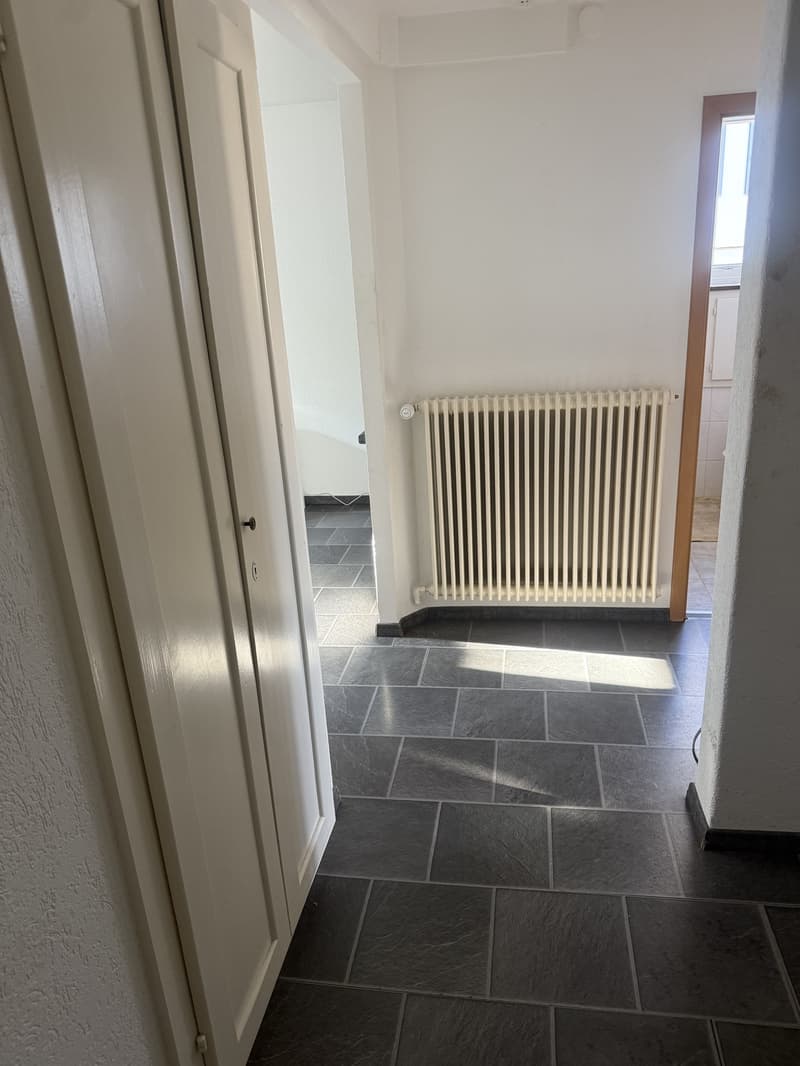 Beautiful 2.5-room apartment (4)