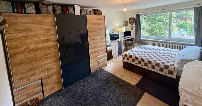 Appartement de 3 pièces rénové dans un excellent emplacement à Zurich-Höngg (6)