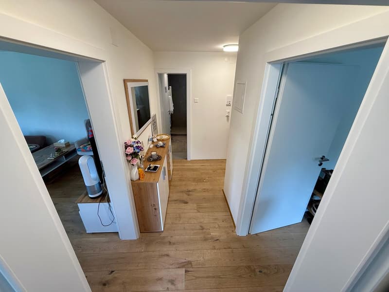 Appartement de 3 pièces rénové dans un excellent emplacement à Zurich-Höngg (5)