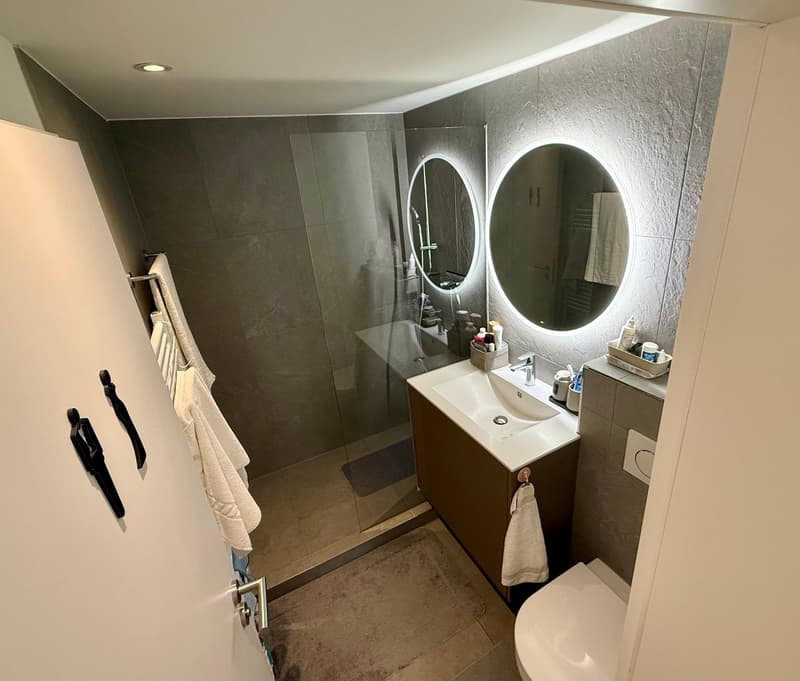 Appartement de 3 pièces rénové dans un excellent emplacement à Zurich-Höngg (9)