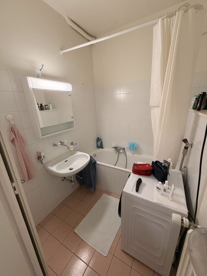 2 pièces meublé, lumineux et central  Plainpalais, proche Université / Bright furnished 2-room flat in central Geneva, near the University (8)