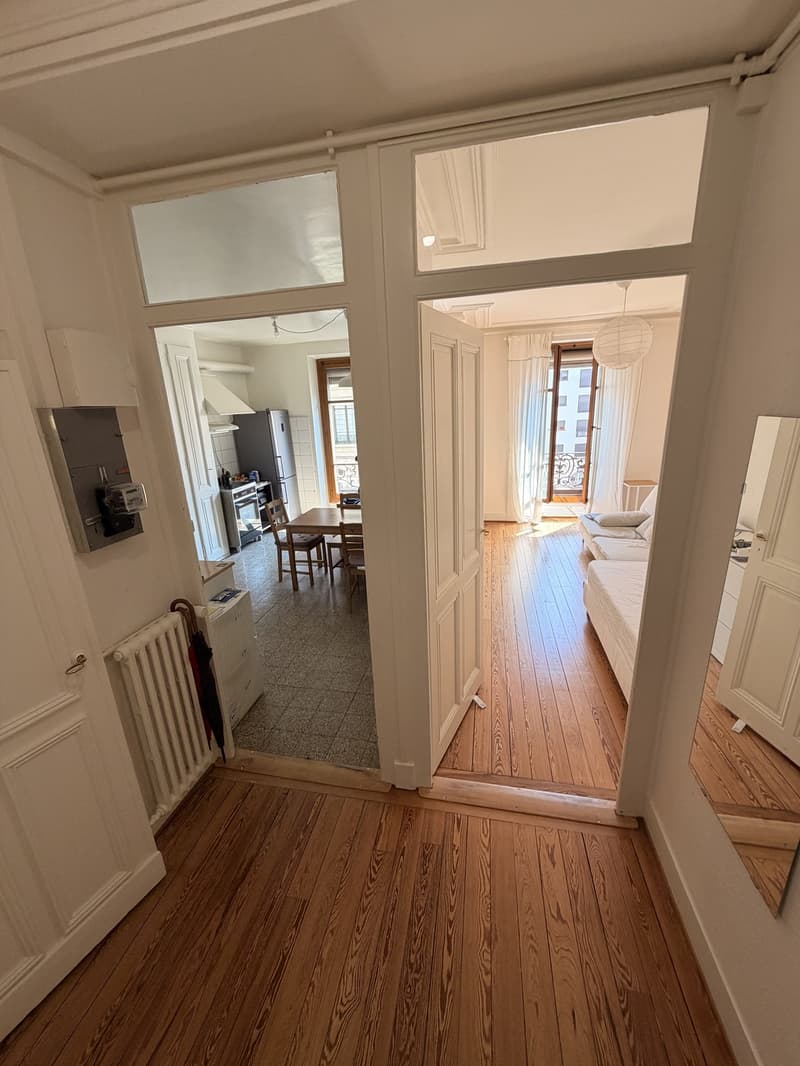 2 pièces meublé, lumineux et central  Plainpalais, proche Université / Bright furnished 2-room flat in central Geneva, near the University (2)