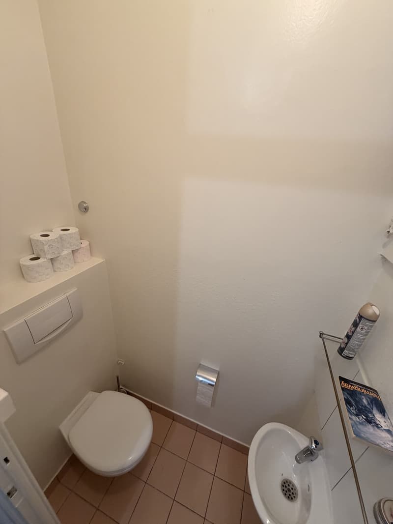 2 pièces meublé, lumineux et central  Plainpalais, proche Université / Bright furnished 2-room flat in central Geneva, near the University (10)