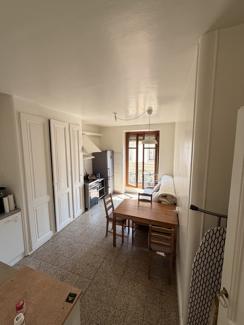 2 pièces meublé, lumineux et central  Plainpalais, proche Université / Bright furnished 2-room flat in central Geneva, near the University (5)