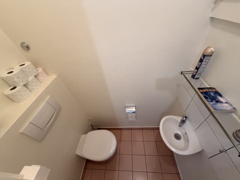 2 pièces meublé, lumineux et central  Plainpalais, proche Université / Bright furnished 2-room flat in central Geneva, near the University (9)