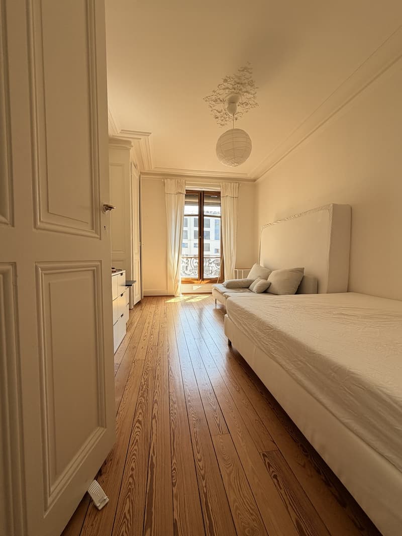 2 pièces meublé, lumineux et central  Plainpalais, proche Université / Bright furnished 2-room flat in central Geneva, near the University (3)