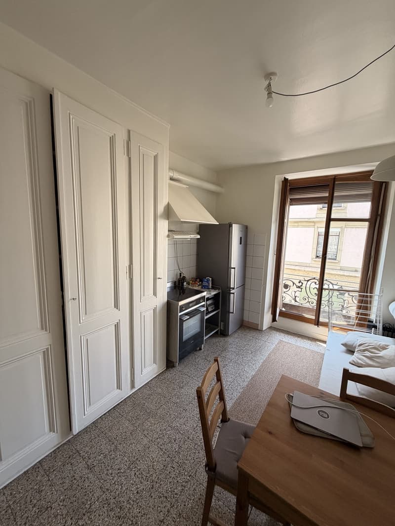 2 pièces meublé, lumineux et central  Plainpalais, proche Université / Bright furnished 2-room flat in central Geneva, near the University (6)