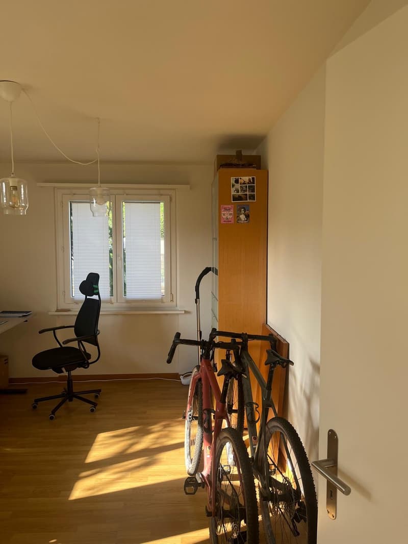 Appartement meublé de 4,5 pièces dans un emplacement ensoleillé à Feldmeilen (5)