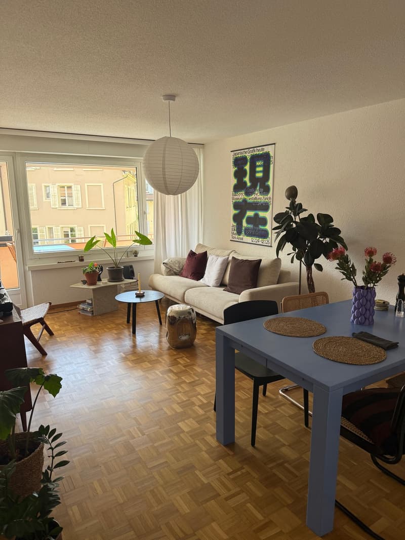 WG Zimmer in Zürich Wipkingen / Shared flat room in Zurich Wipkingen (8)