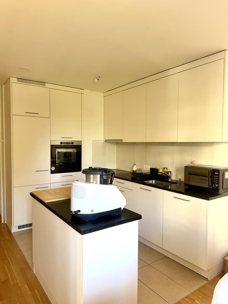 Charmant appartement de 3.5 pièces à Fribourg (4)
