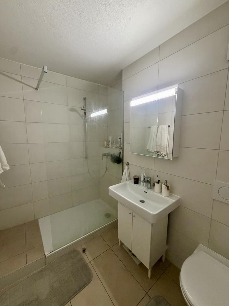 Charmant appartement de 3.5 pièces à Fribourg (5)