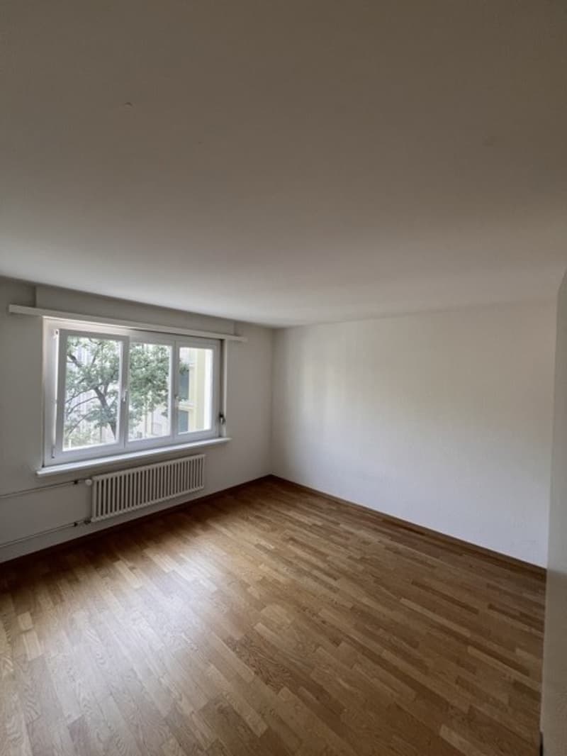 Moderne 3 Zimmer Wohnung in Zürich Kreis 4 (3)