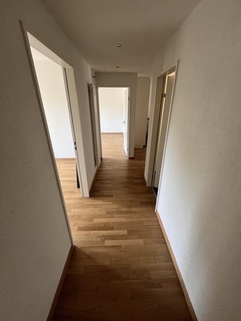 Moderne 3 Zimmer Wohnung in Zürich Kreis 4 (8)