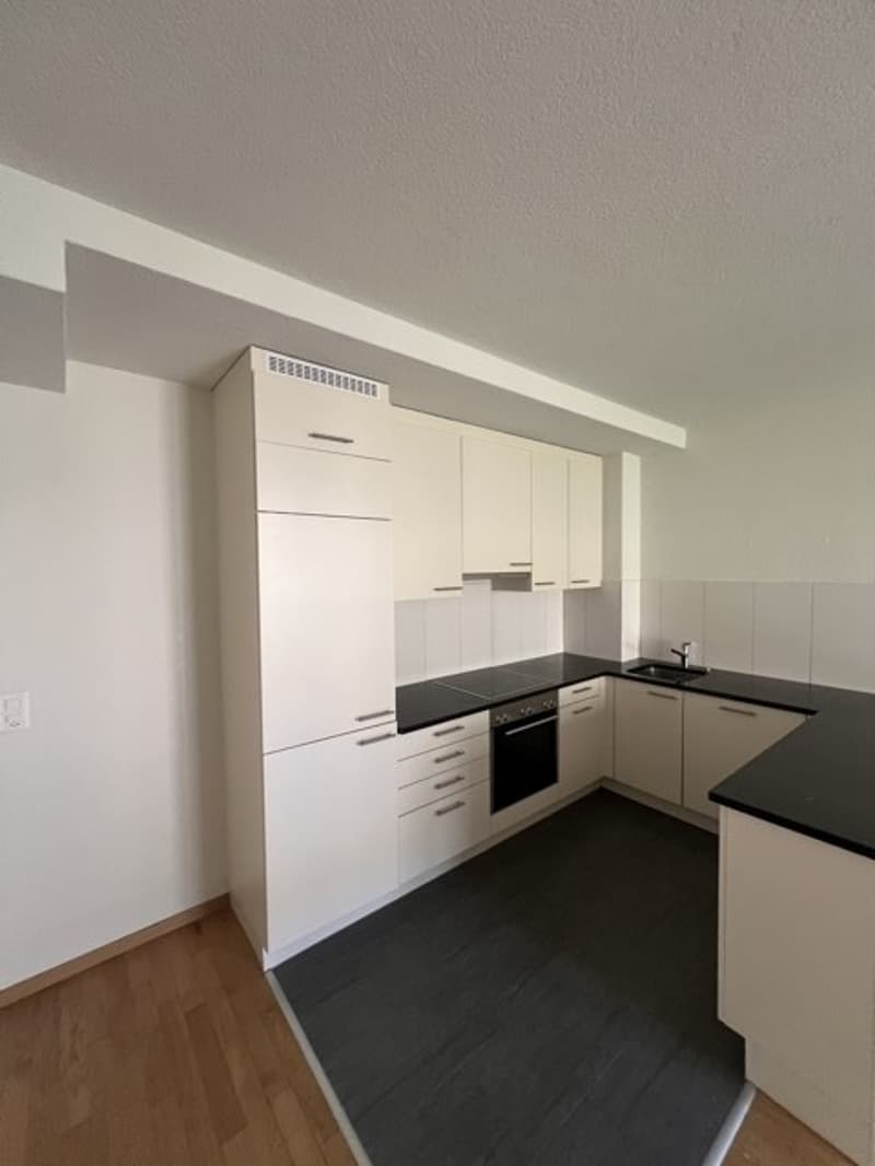 Moderne 3 Zimmer Wohnung in Zürich Kreis 4 (1)