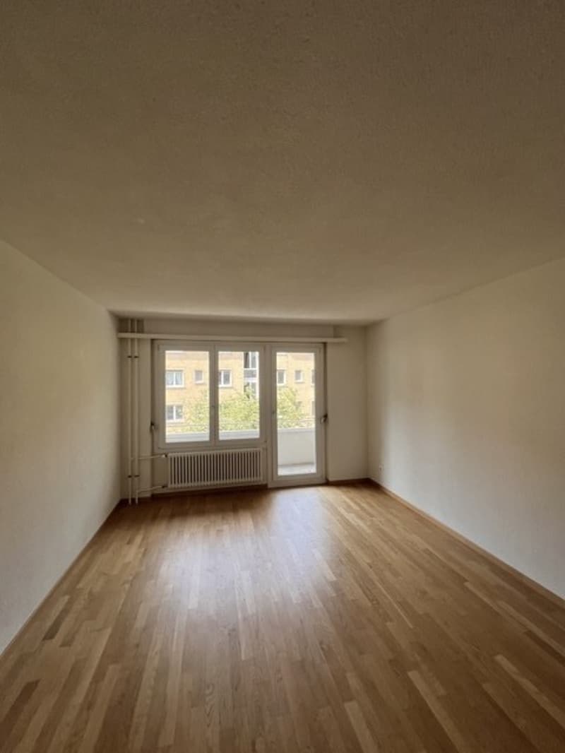 Moderne 3 Zimmer Wohnung in Zürich Kreis 4 (2)
