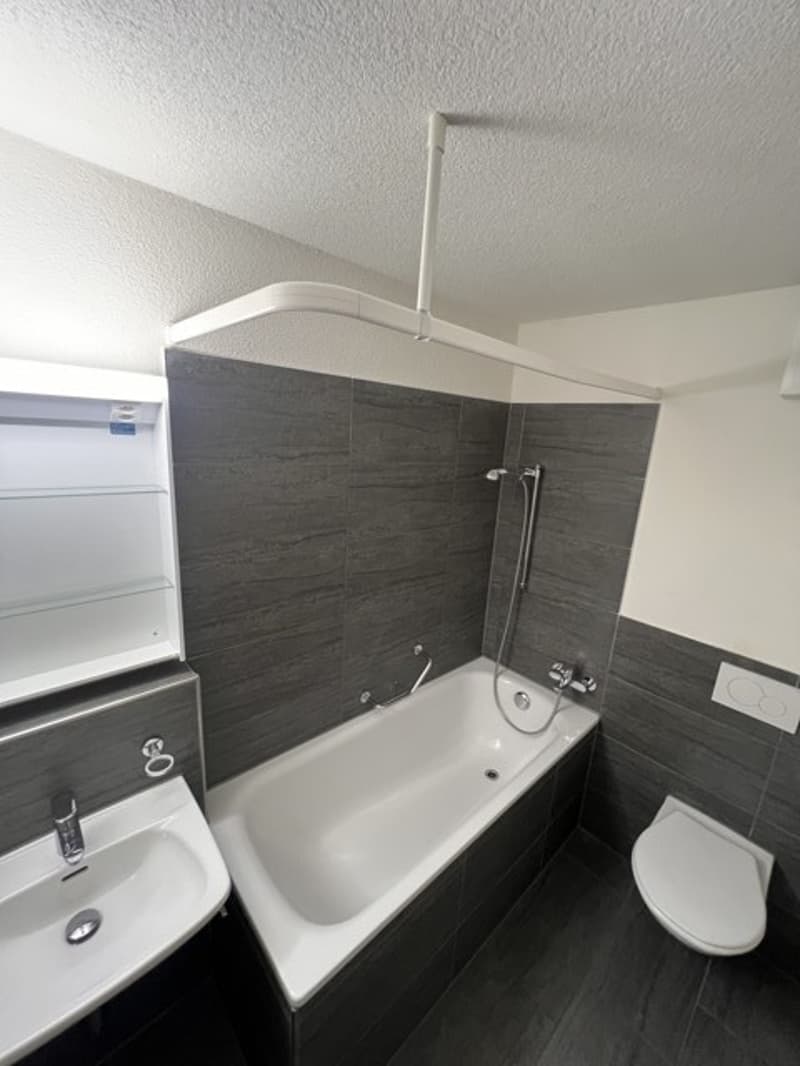 Moderne 3 Zimmer Wohnung in Zürich Kreis 4 (5)
