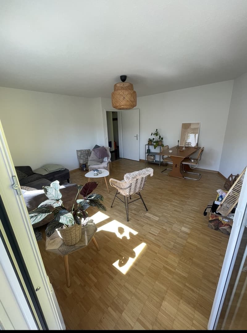 3 Stanze Appartamento Zurigo (2)