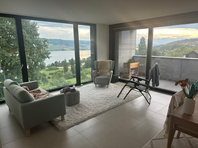 Looking for a lakeside life? Modern 3.5 room apartment with panoramic lake views (3)