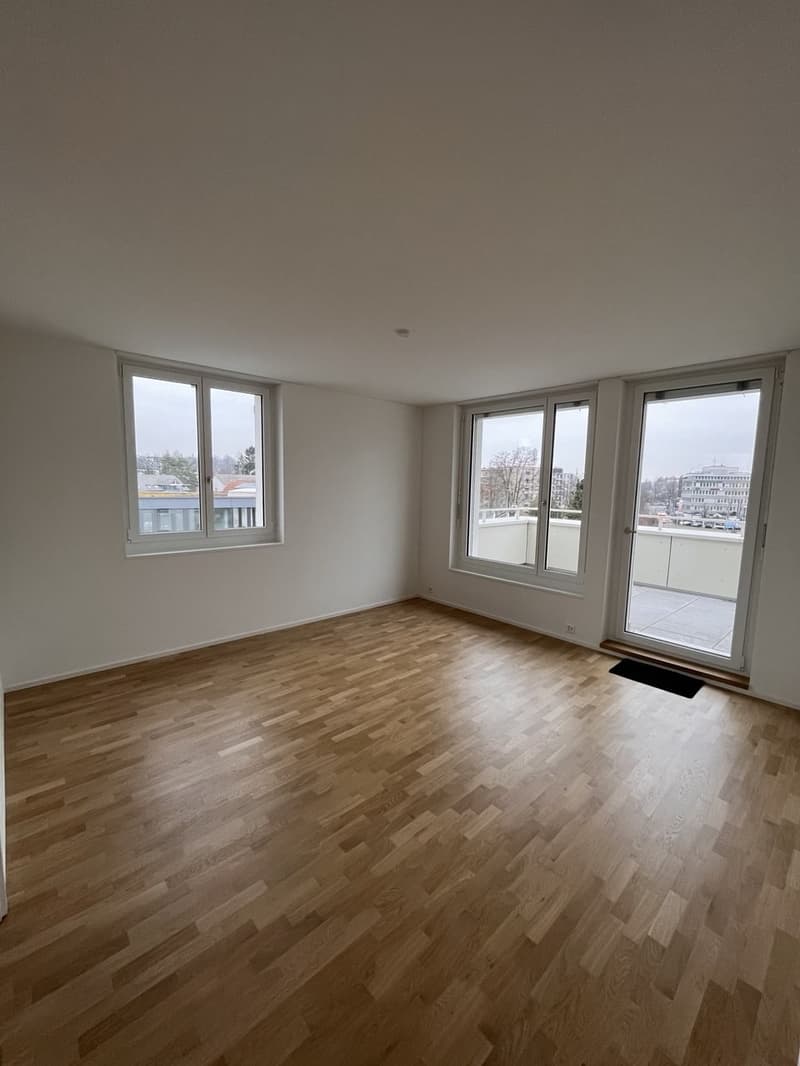 2 Zimmer-Wohnung, 8305 Dietlikon (1)