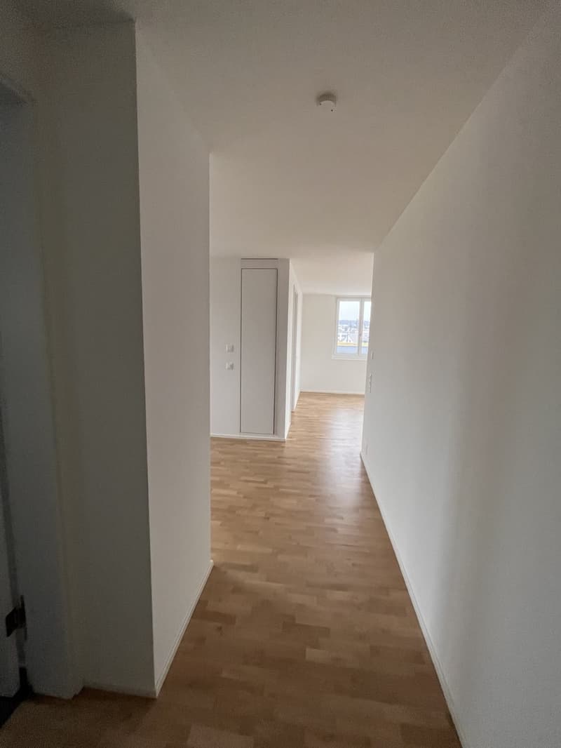 2 Zimmer-Wohnung, 8305 Dietlikon (5)