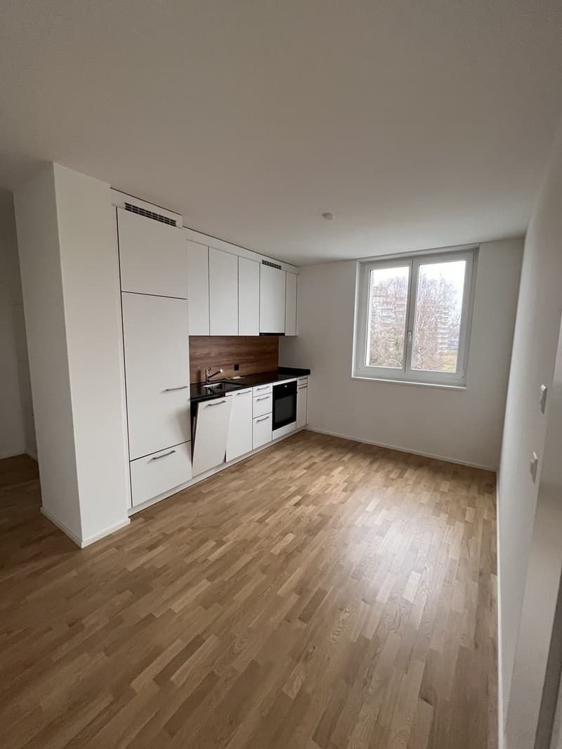 2 Zimmer-Wohnung, 8305 Dietlikon (4)