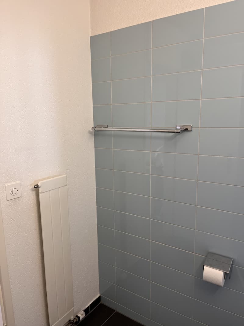 Dienerstrasse Studio (8)