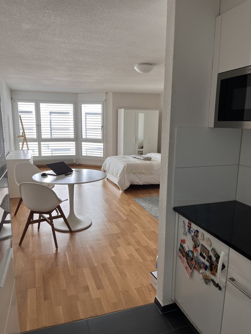 Dienerstrasse Studio (5)