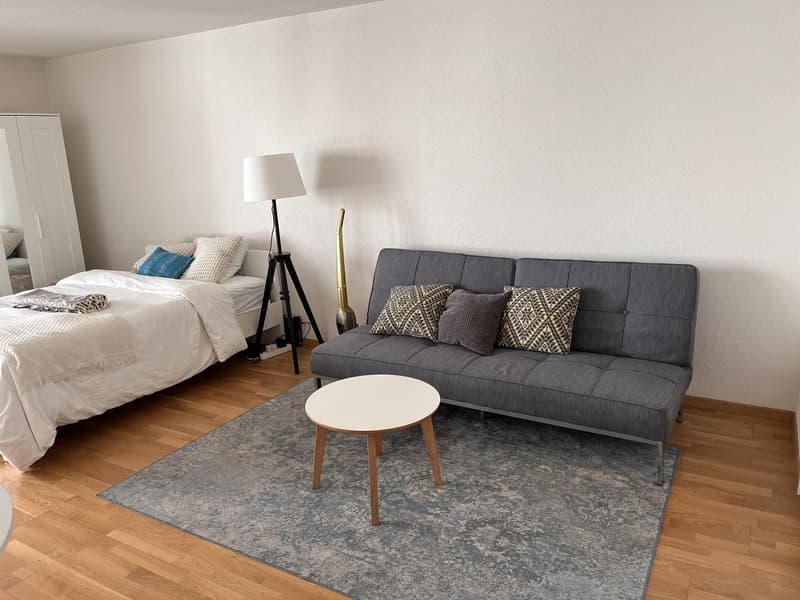 Dienerstrasse Studio (2)