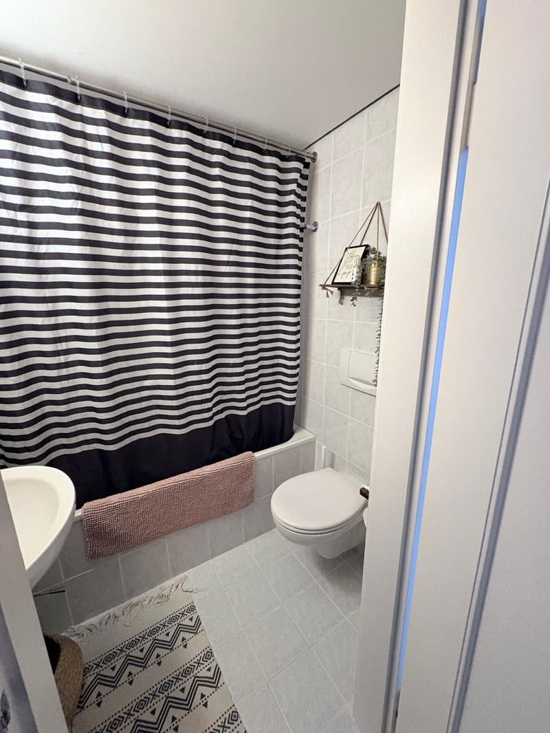 Unique Opportunity in the Popular Breitenrain District (6)