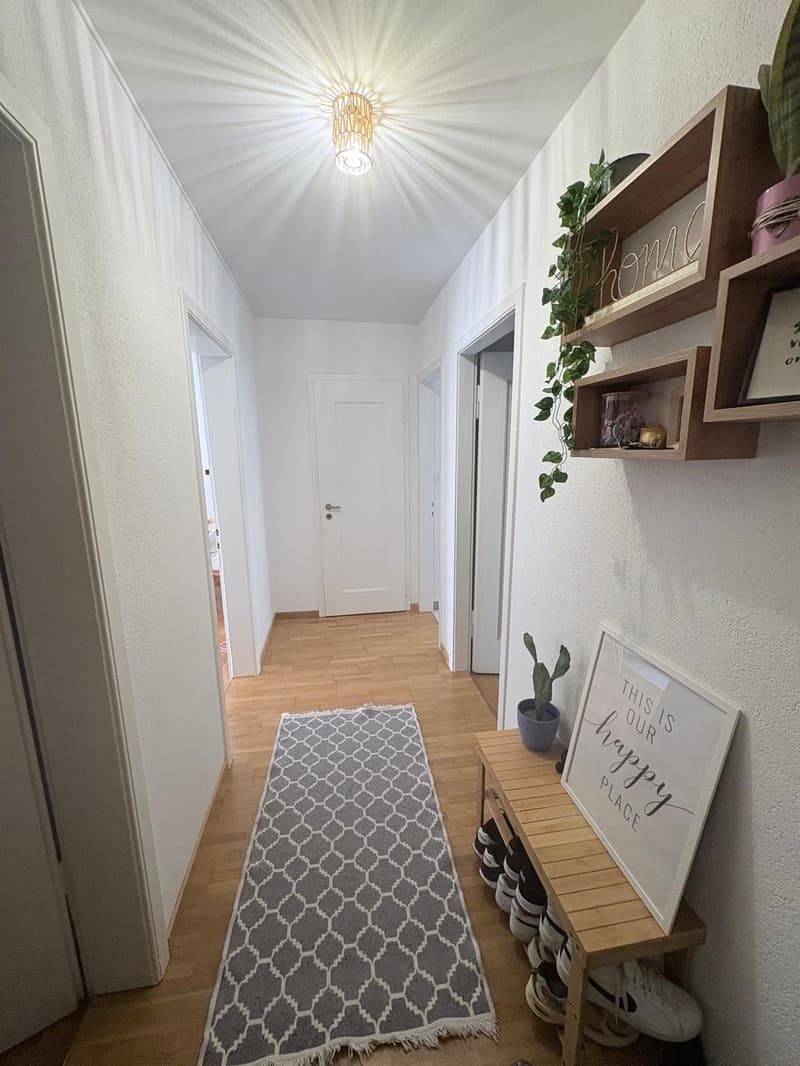 Unique Opportunity in the Popular Breitenrain District (7)