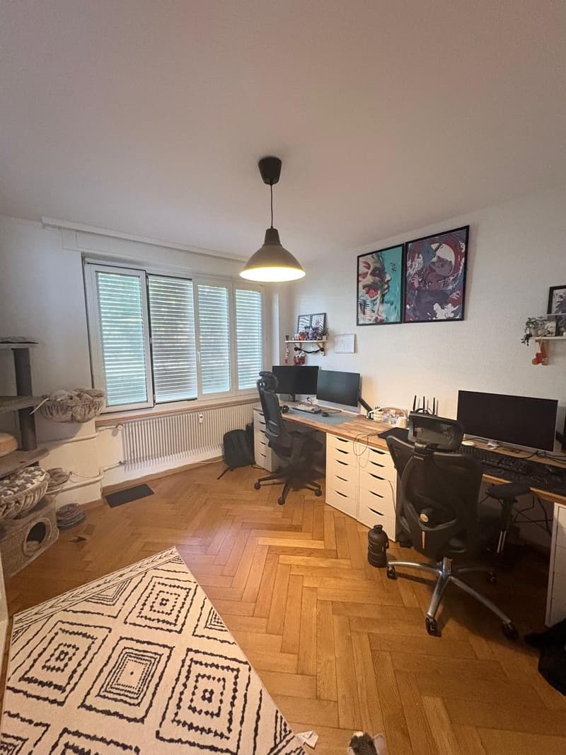 Unique Opportunity in the Popular Breitenrain District (2)