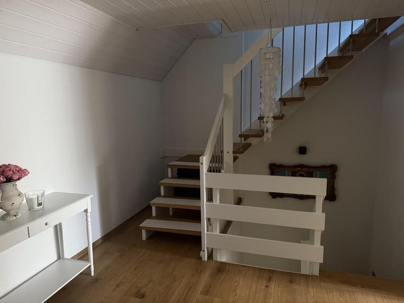 Appartement 4 pièces et demi, 8605 Gutenswil (7)