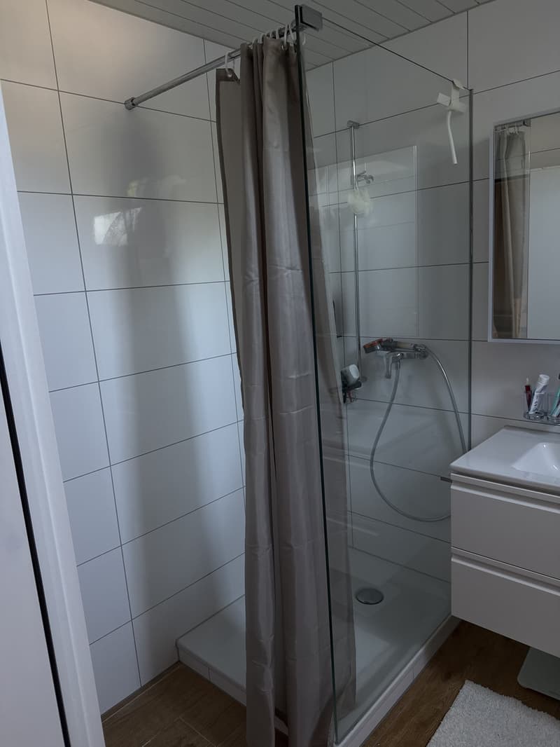 Appartement 4 pièces et demi, 8605 Gutenswil (4)