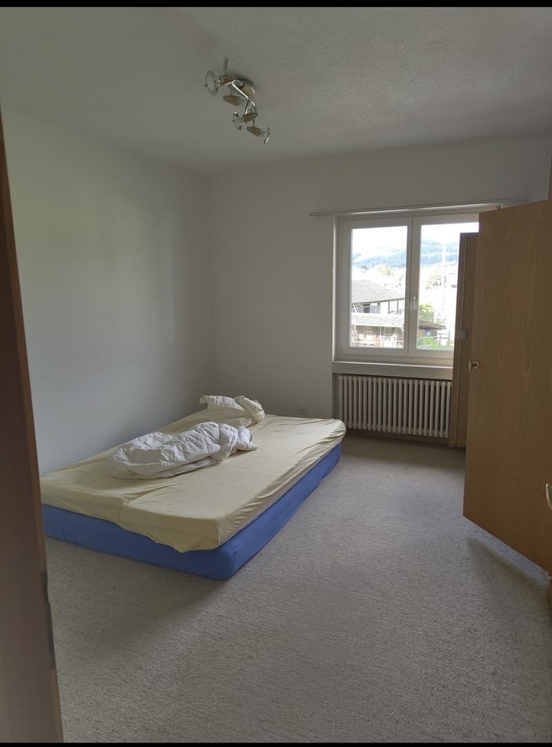 WG Zimmer (7)